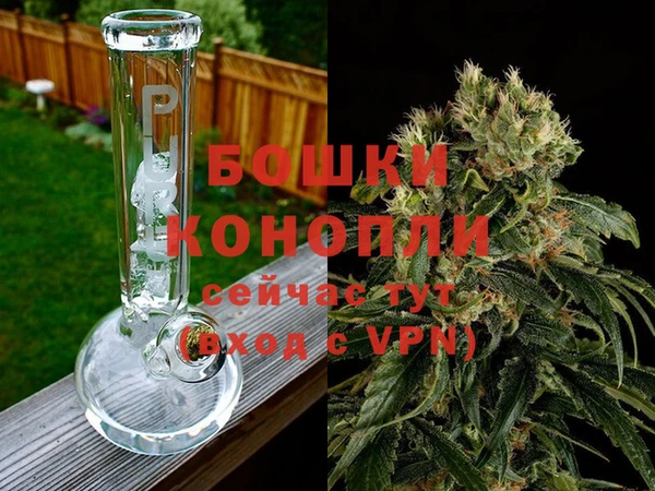 СК Абаза