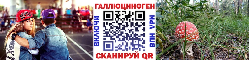 Псилоцибиновые грибы Psilocybine cubensis  Агрыз 